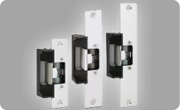 Electric Door Locks