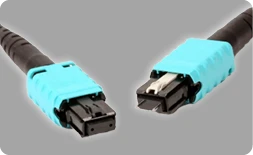 MTP Polarity