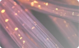 Loose Tube V Tight Buffered Cable