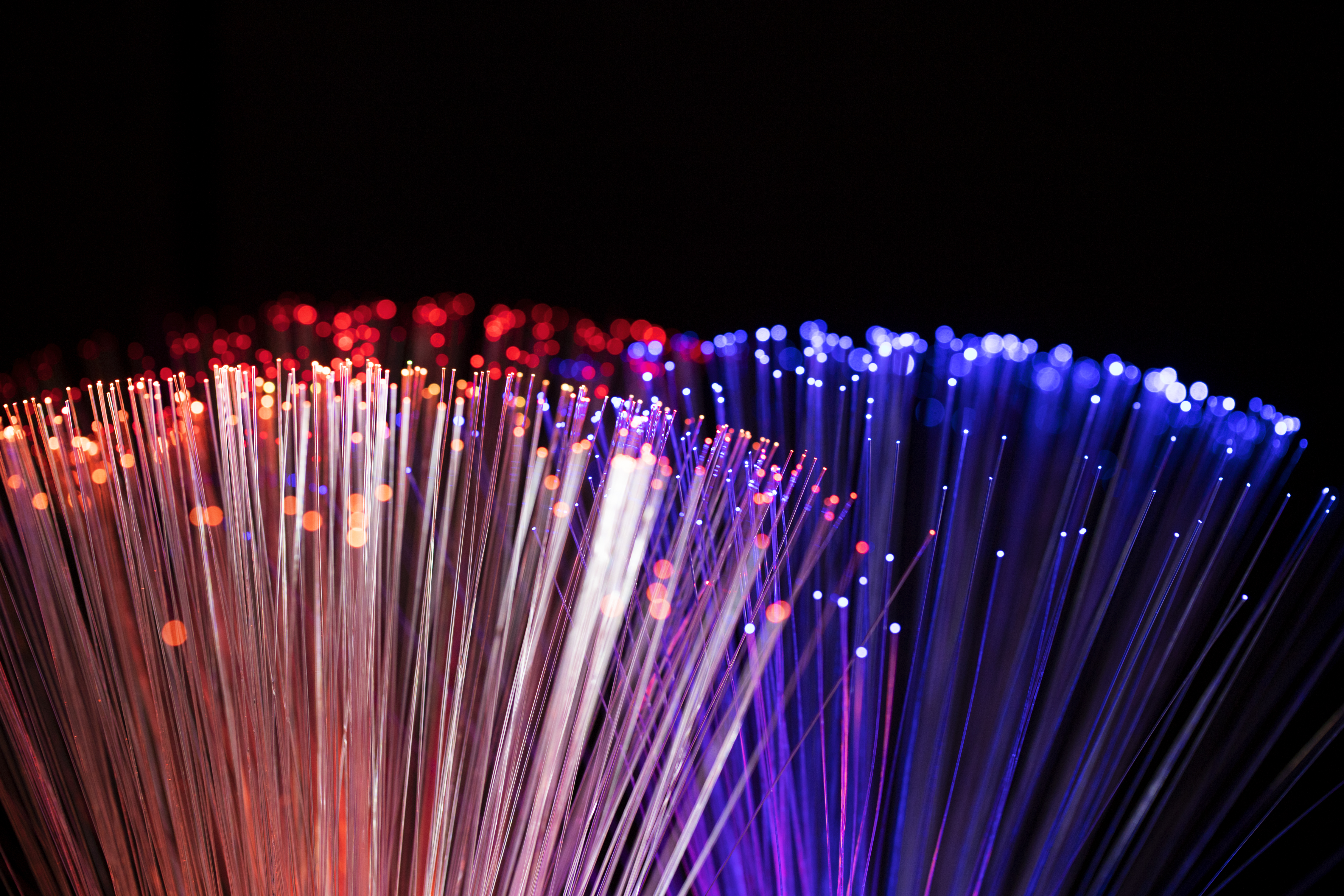 Fibre